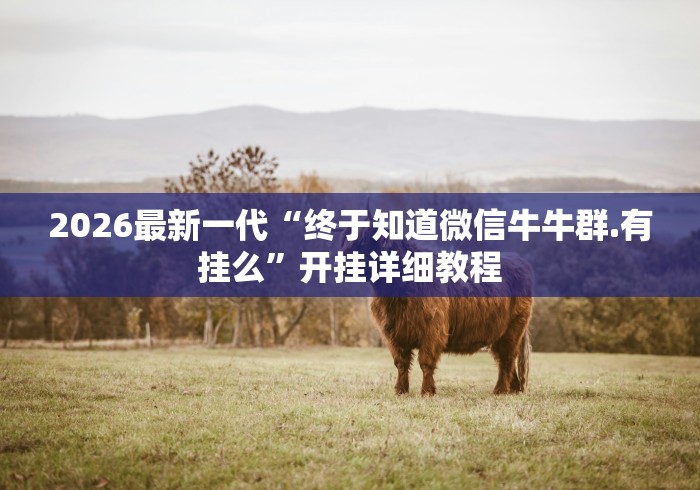 2026最新一代“终于知道微信牛牛群.有挂么	”开挂详细教程
