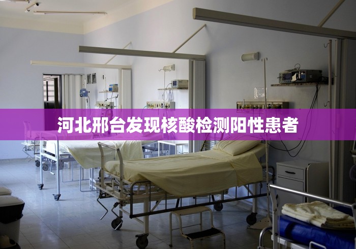 2026最新版下载“迅奇麻将万能开挂器官网最新版本介”(助赢详细开挂教程)