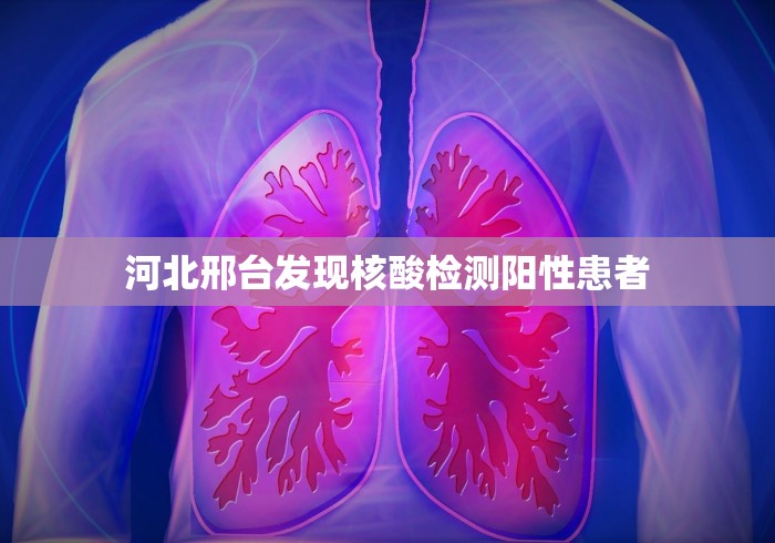 2026首发教程“豆豆三湘麻将有挂吗”附开挂脚本详细步骤