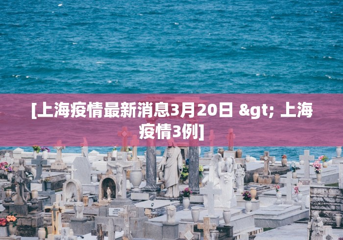 3分钟学会“炸金花外卦神器视频”必胜开挂神器