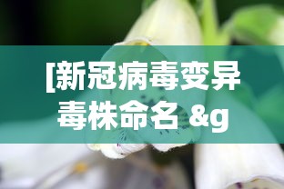 3分钟教程“微信上微乐麻将怎样免费开挂”分享用挂教程