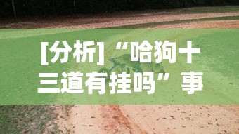 [分析]“哈狗十三道有挂吗	”事实上确实有挂