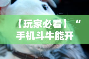【玩家必看】“手机斗牛能开挂吗”-揭秘开挂教程分享