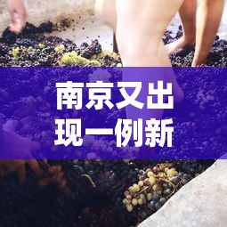 必胜技巧全攻略“微乐卡五星麻将有没有挂的”附开挂脚本详细步骤