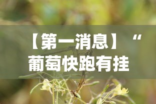 【第一消息】“葡萄快跑有挂吗”(其实是有挂)