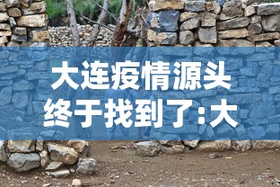 专家分析“好运大菠萝比鸡有挂吗”详细分享装挂