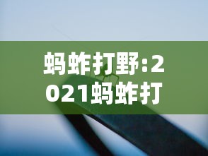 实操教程“众娱十三水怎么抓好牌”(必胜开挂神器)