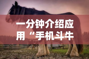 一分钟介绍应用“手机斗牛能赢钱吗”其实确实有挂