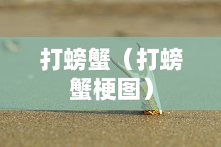 必看攻略“先锋大厅挂怎么购买”详细开挂教程