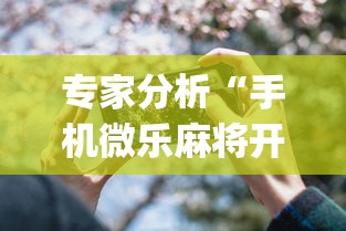 专家分析“手机微乐麻将开挂视频怎么弄”(详细透视教程)-知乎