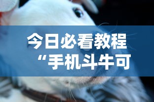 今日必看教程“手机斗牛可以作弊吗”其实确实有挂