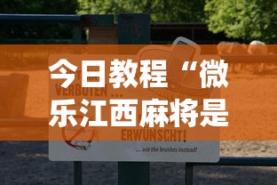 今日教程“微乐江西麻将是否有挂”(透视)其实真的有挂