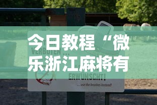 今日教程“微乐浙江麻将有挂吗”真可以装挂