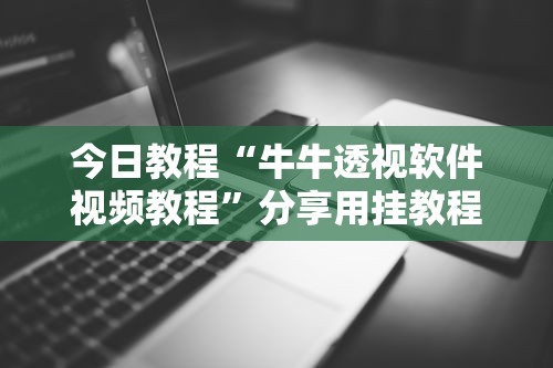 今日教程“牛牛透视软件视频教程”分享用挂教程