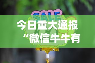 今日重大通报“微信牛牛有什么规律吗	”(必备工具)辅助教学