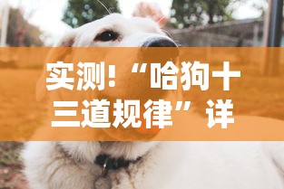 实测!“哈狗十三道规律	”详细分享装挂