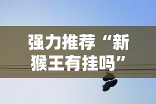 强力推荐“新猴王有挂吗”详细分享装挂步骤