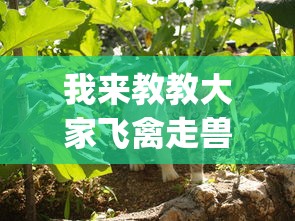 我来教教大家飞禽走兽全押稳赢打法”(曝光透视必备猫腻)